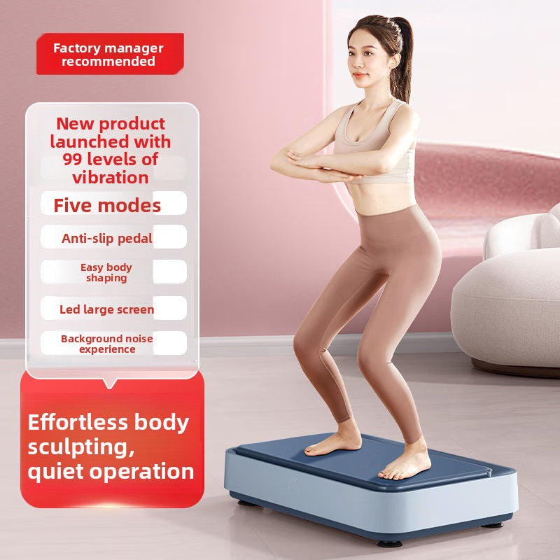 Sun Lake Whole Body Vibration Plate Fitness Machine