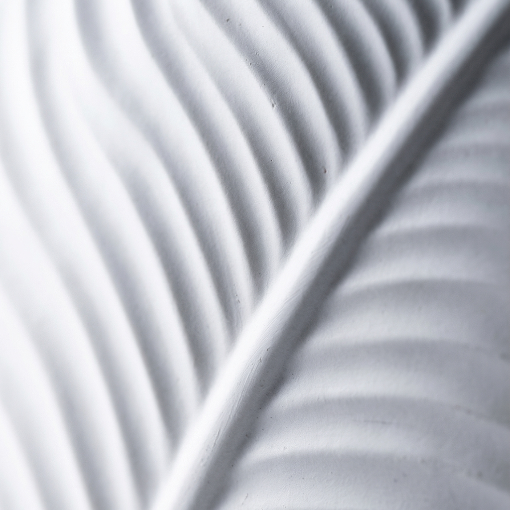 Close-up of a white leaf with shadow patterns on a light gray background