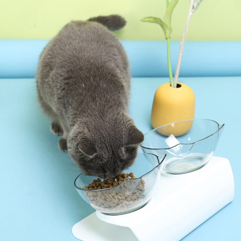 Sun Lake Elevated Cat Bowls with Slanted Design | Cat Food Water Bowl - Elderly Cats